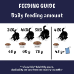 Felix Doubly Delicious Dry Cat Food 750g - Salmon & Vegetables