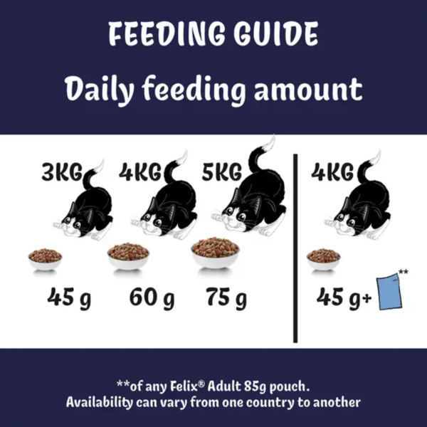 Felix Doubly Delicious Dry Cat Food 750g - Salmon & Vegetables