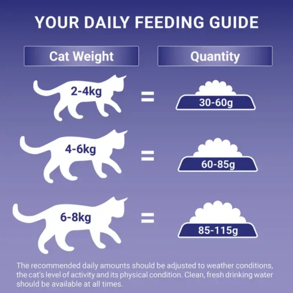 Purina One Cat 800g - Salmon