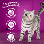 Whiskas Adult with Salmon 800g