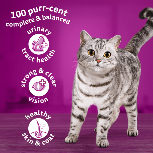 Whiskas Adult with Salmon 800g
