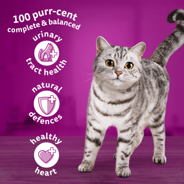Whiskas Senior 7+ with Chicken 800g