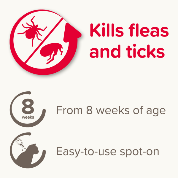 Beaphar - FIPROtec Spot On For Cats