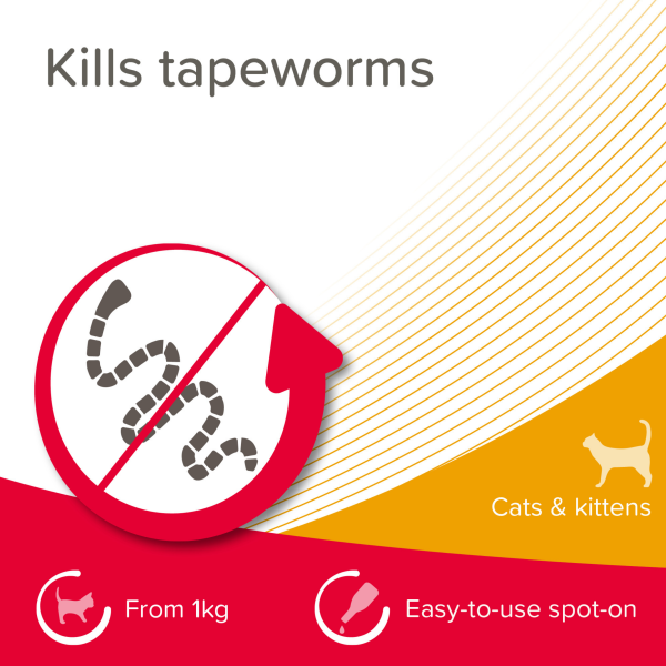 Beaphar Wormclear Spot on for Cats (2 Pipettes)