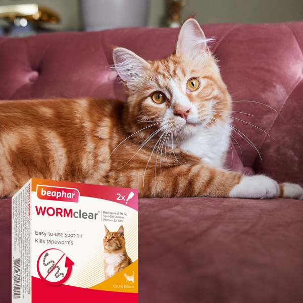 Beaphar Wormclear Spot on for Cats (2 Pipettes)