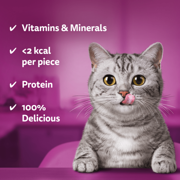 Whiskas Temptations 60g