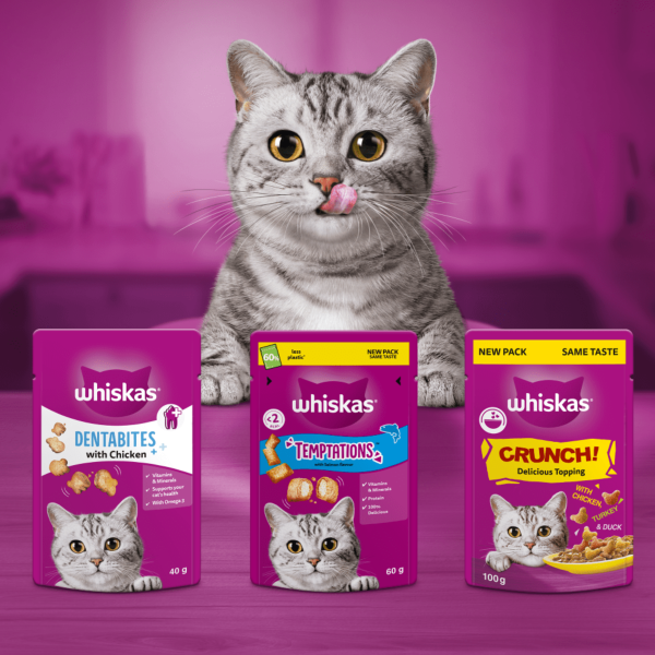 Whiskas Temptations 60g