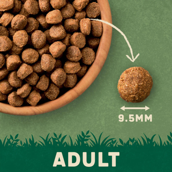 Harringtons Adult Dry Food 1.7kg