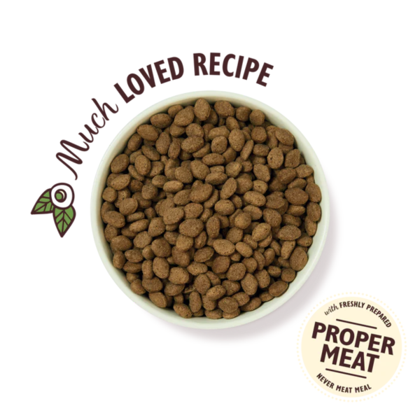 Lily's Kitchen Dry - Shepherd's Pie 2.5kg