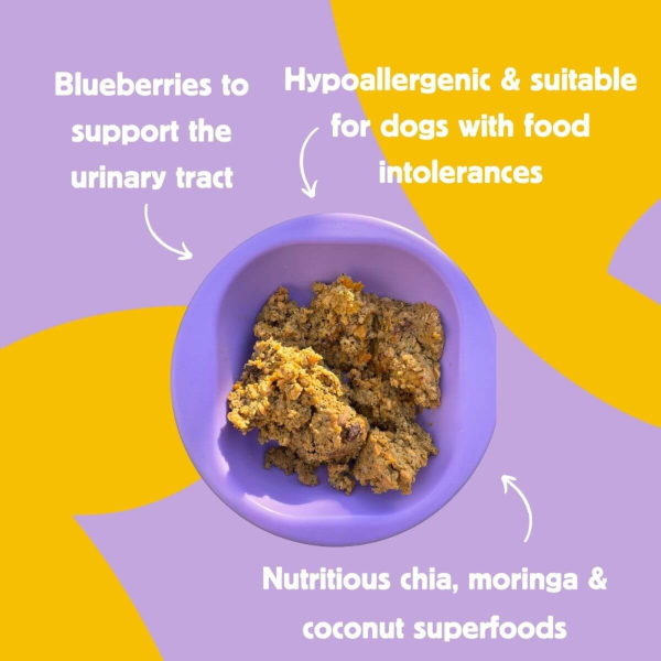 HOWND - Plant Based Blueberry & Coconut Porridge 400g