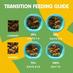 HOWND - Plant Based Quinoa & Pumpkin Casserole 400g