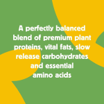 HOWND - Plant Based Quinoa & Pumpkin Casserole 400g