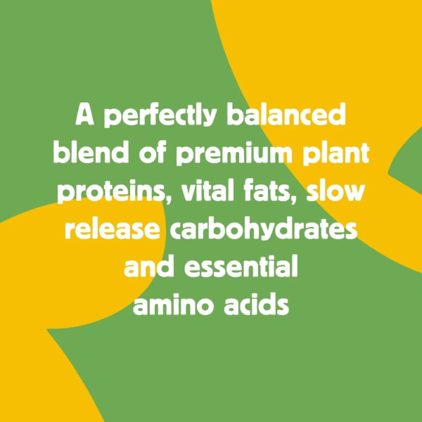 HOWND - Plant Based Quinoa & Pumpkin Casserole 400g