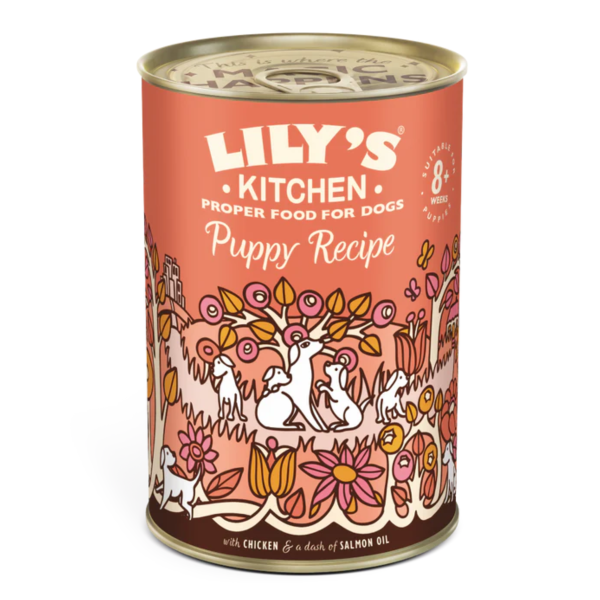 Lily's Kitchen 400g Tins