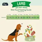 Naturediet - Feel Good Grain Free Lamb 390g