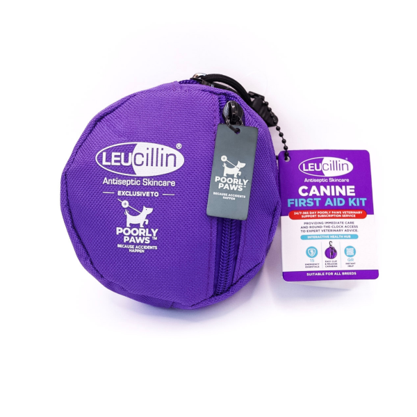 Leucillin Antiseptic Spray