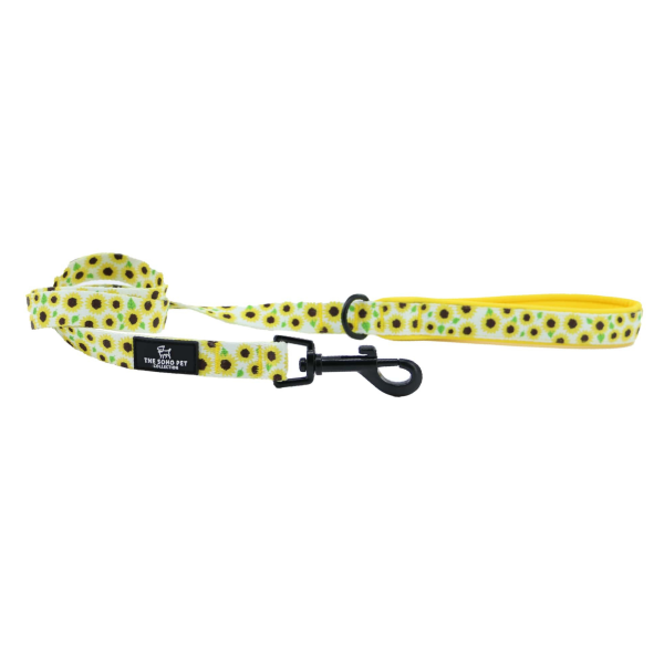 The Soho Pet Collection - Leads