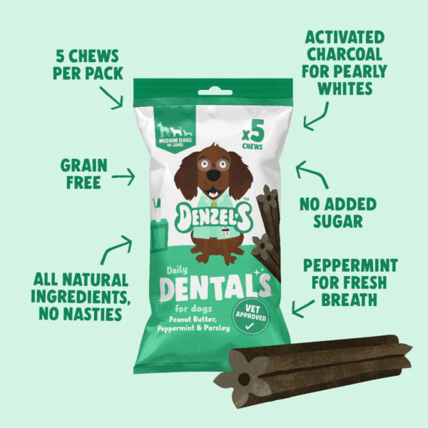 Denzels Daily Dentals - Medium Vegan