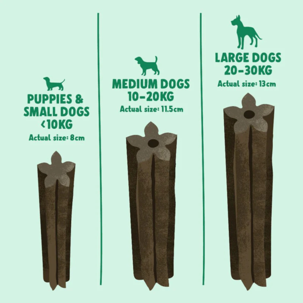 Denzels Daily Dentals - Medium Vegan
