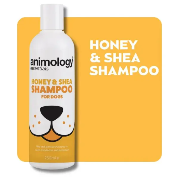 Animology Essentials Dog Shampoo - Honey & Shea