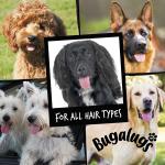 Bugalugs - Oatmeal Dog Shampoo 250ml