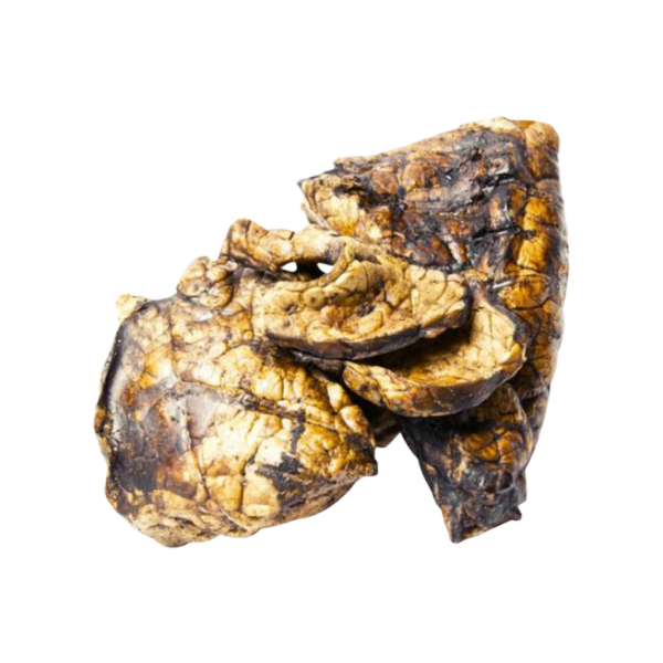 Beef Lung