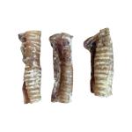 Beef Trachea