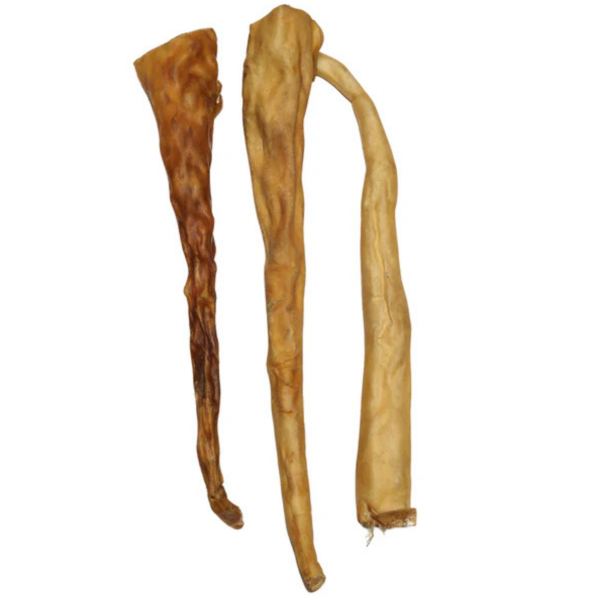 Buffalo Tails