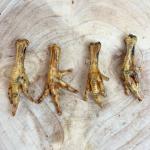 Chicken Feet