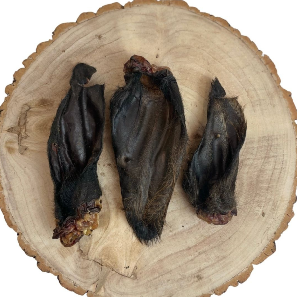 Hairy Buffalo Ears