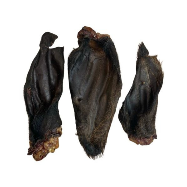 Hairy Buffalo Ears