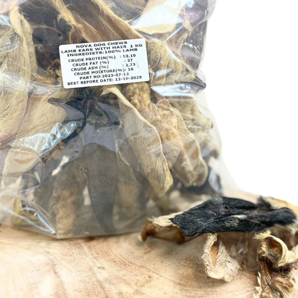 Hairy Lamb Ears