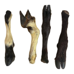 Hairy Lambs Feet