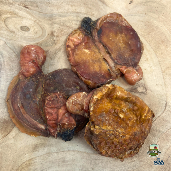 Lamb Testicles