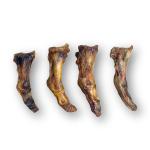 Ostrich Foot - Small
