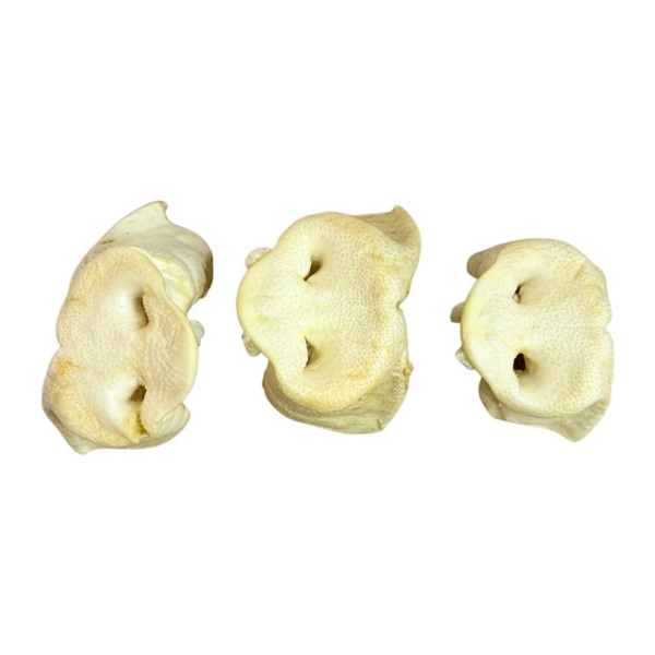 Puffed Pig Snouts
