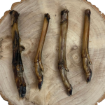 Roe Deer Legs