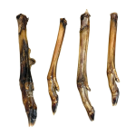 Roe Deer Legs