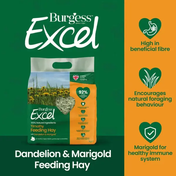 Burgess Excel Timothy Feeding Hay with Dandelion & Marigold 1kg