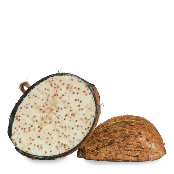 Suet To Go - Half Coconut