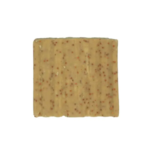 Suet to Go Cake - Insect 1pk