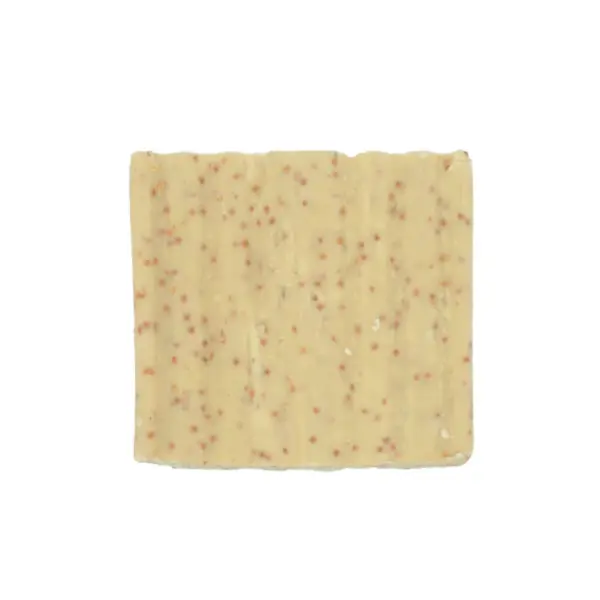Suet to Go Cake - Mealworm 1pk