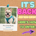 Pet of the Month