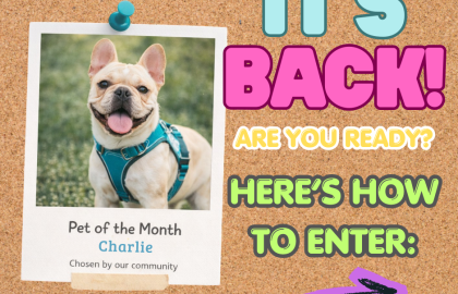Pet of the Month