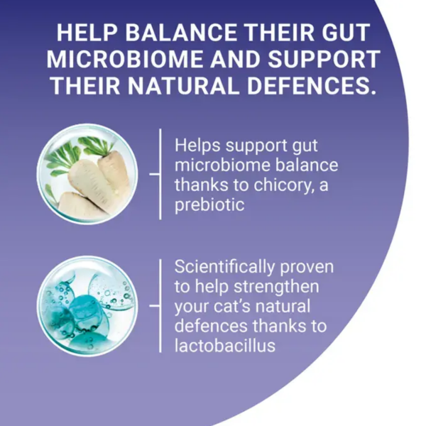 Purina One Cat 800g - Chicken