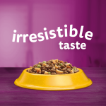 Whiskas Adult with Chicken 800g