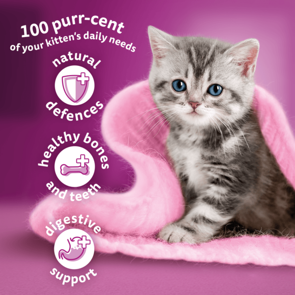 Whiskas Kitten with Chicken 800g
