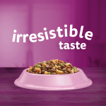 Whiskas Adult with Salmon 800g