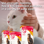 Beaphar - FIPROtec Spot On For Cats