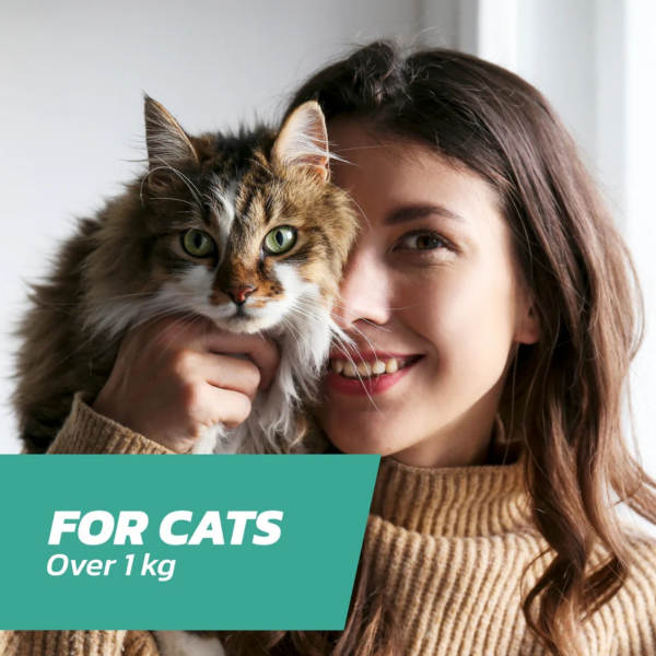 FleaSolve Spot-on Solution for Cats